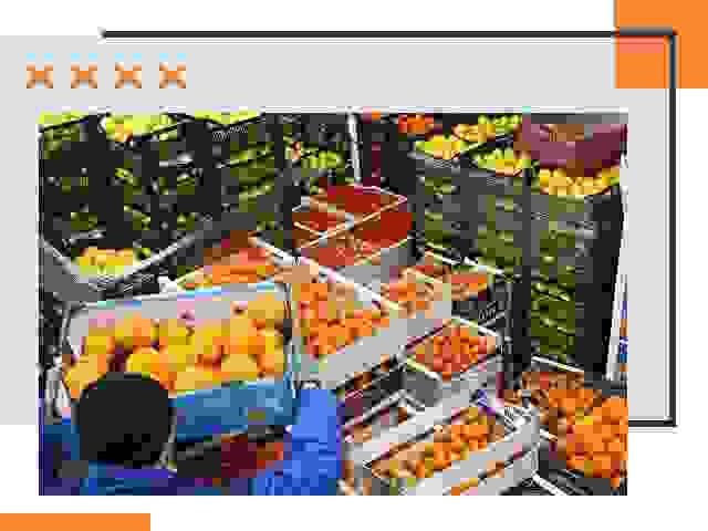 Перевозка скоропортящихся продуктов в Конаково